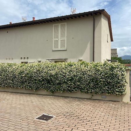 Villa Casa Ariel Lucca Esterno foto