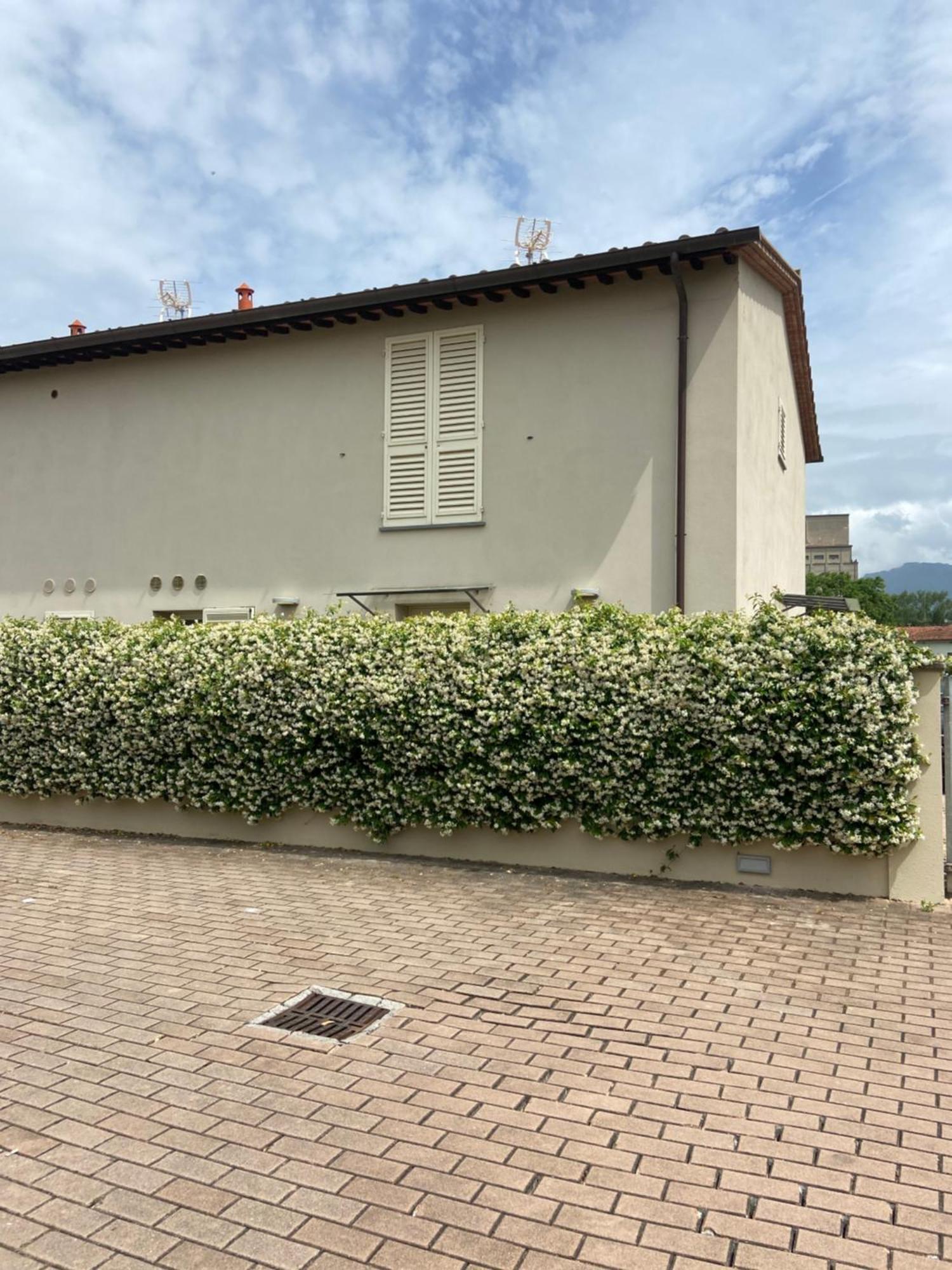Villa Casa Ariel Lucca Esterno foto